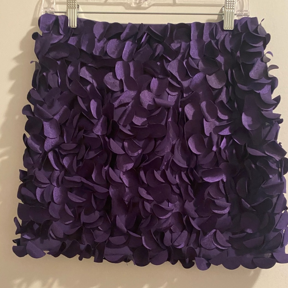 Short Skirt - image 1